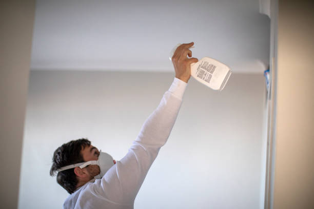 Reliable Hacienda Heights, CA Mold Remediation Solutions
