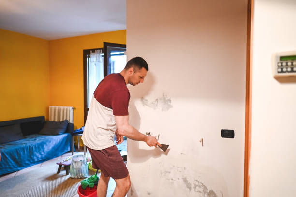 Best White Mold Remediation in Hacienda Heights, CA